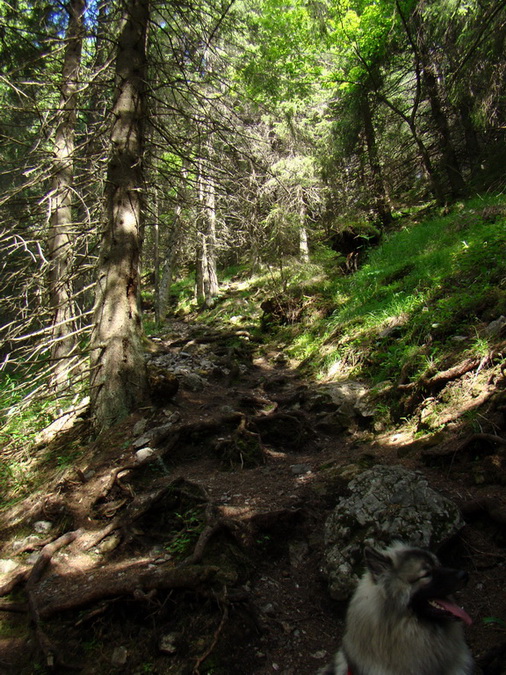 Ohnište zo Svidovského sedla (Nízke Tatry)