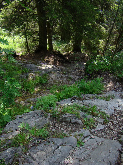 Ohnište zo Svidovského sedla (Nízke Tatry)