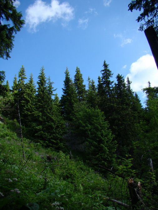 Ohnište zo Svidovského sedla (Nízke Tatry)