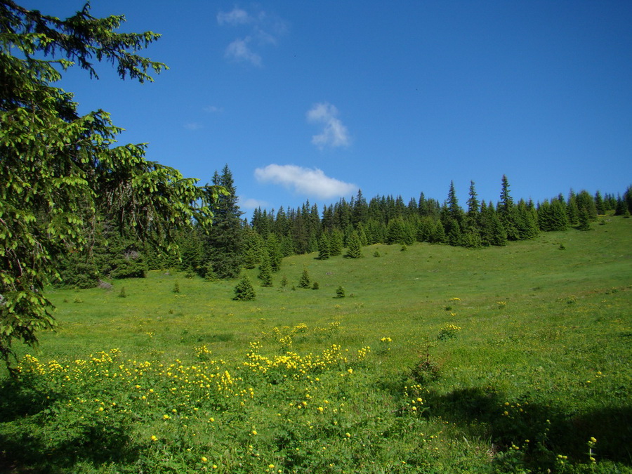 Ohnište zo Svidovského sedla (Nízke Tatry)