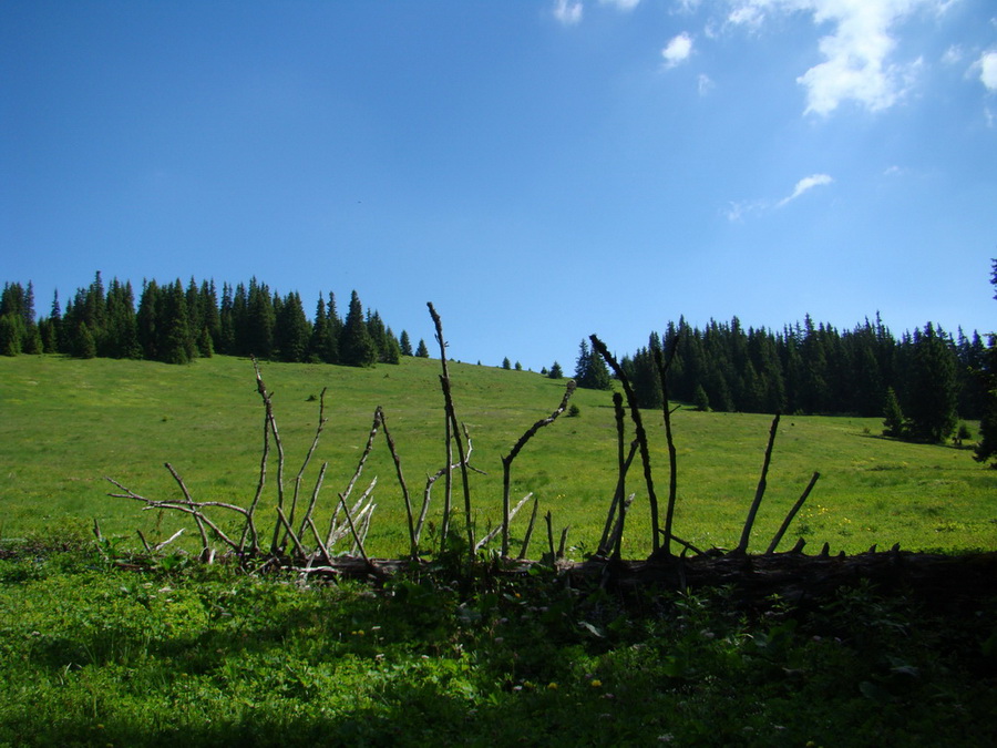 Ohnište zo Svidovského sedla (Nízke Tatry)