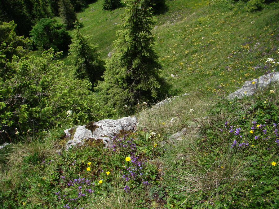 Ohnište zo Svidovského sedla (Nízke Tatry)