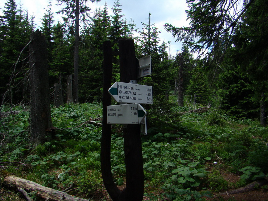 Ohnište zo Svidovského sedla (Nízke Tatry)