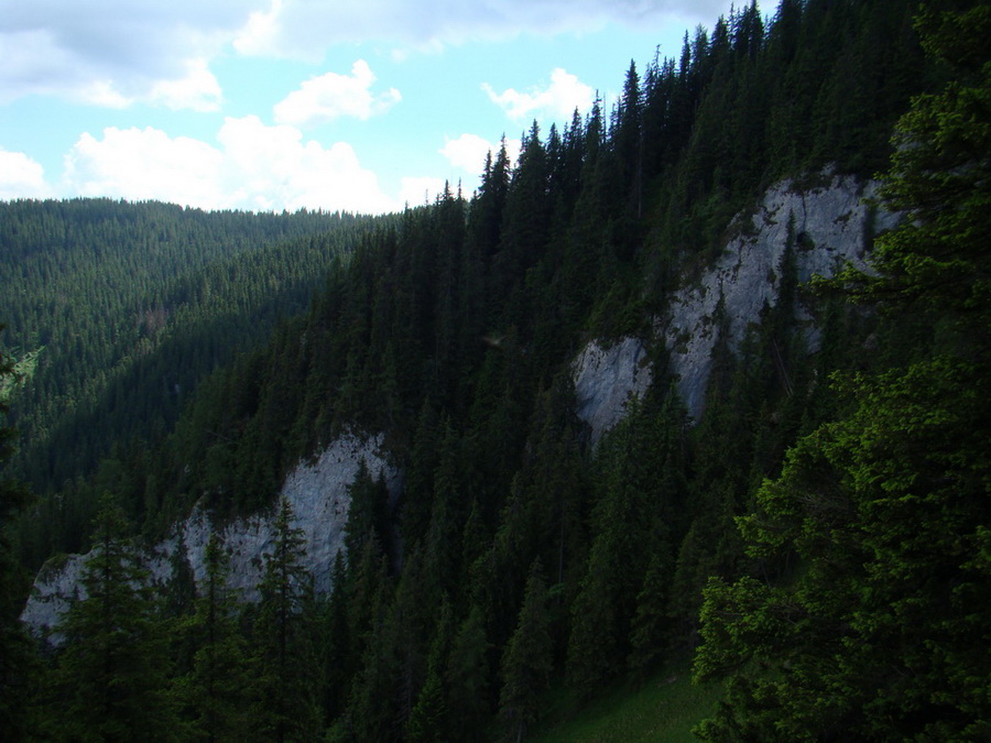 Ohnište zo Svidovského sedla (Nízke Tatry)