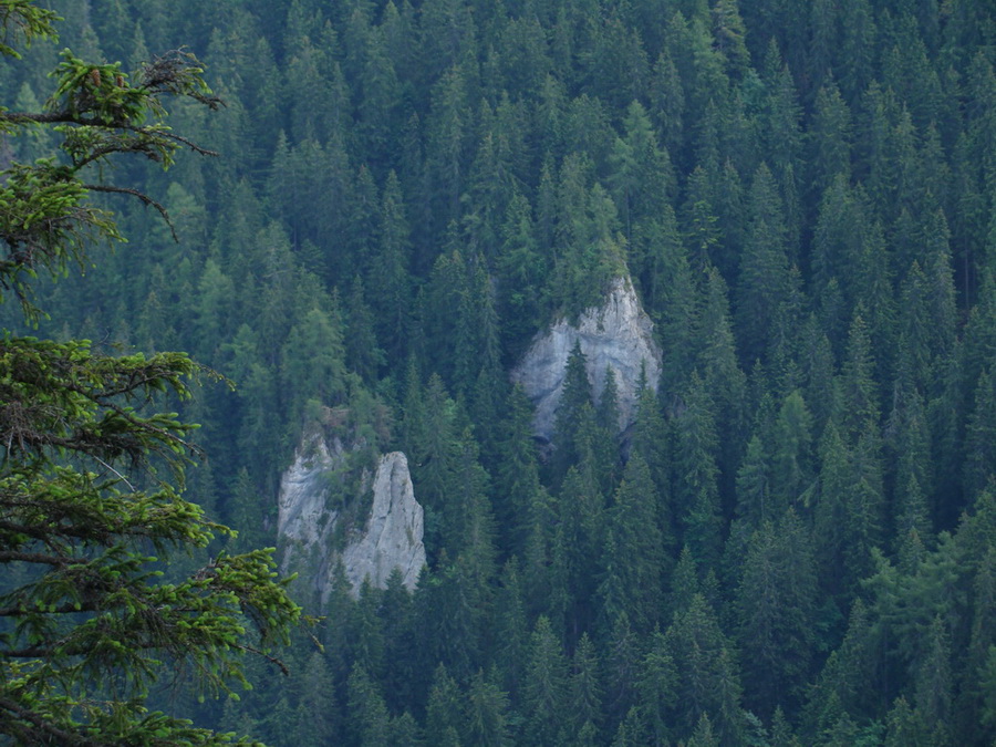 Ohnište zo Svidovského sedla (Nízke Tatry)