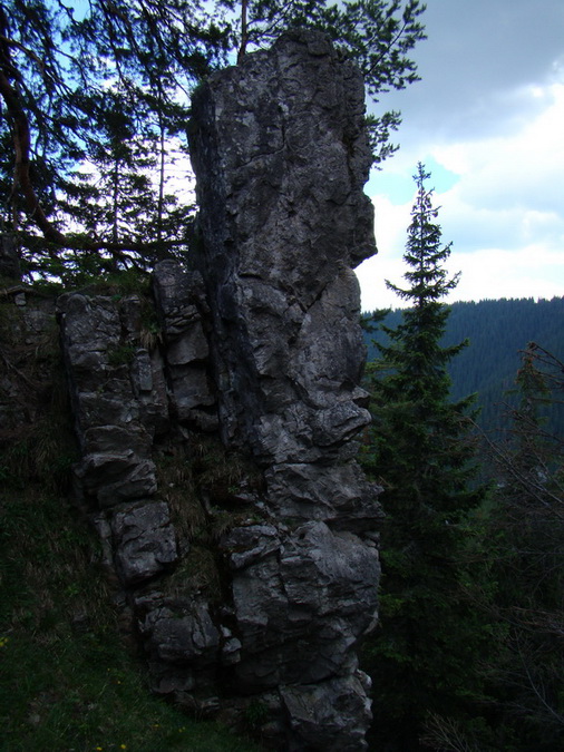 Ohnište zo Svidovského sedla (Nízke Tatry)