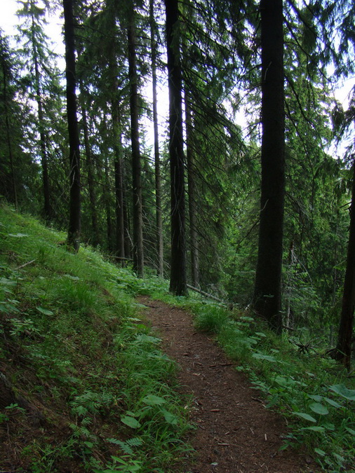 Ohnište zo Svidovského sedla (Nízke Tatry)