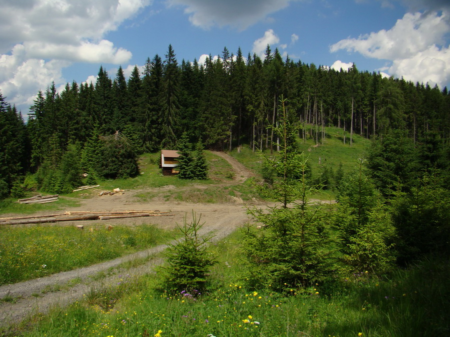 Ohnište zo Svidovského sedla (Nízke Tatry)