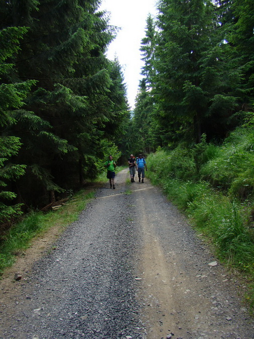 Ohnište zo Svidovského sedla (Nízke Tatry)