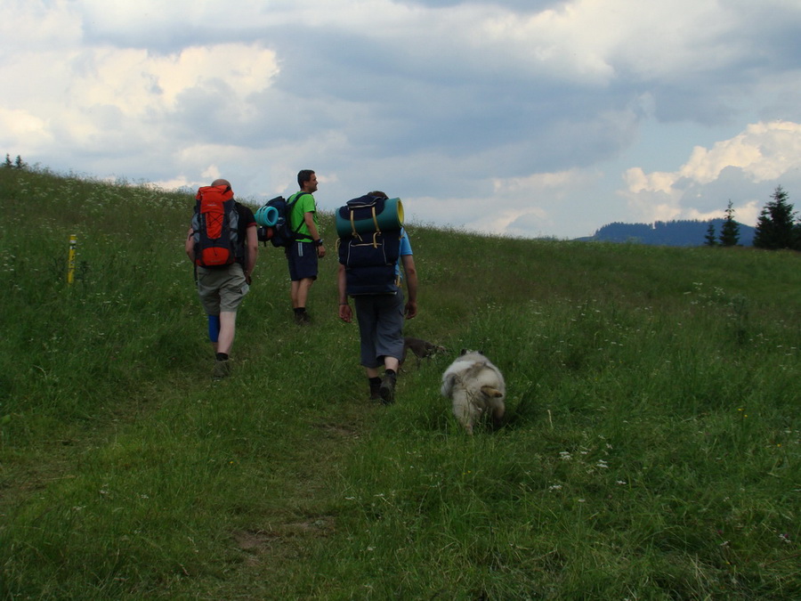 Ohnište zo Svidovského sedla (Nízke Tatry)