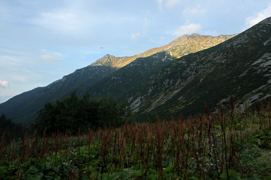 Otrhance - Jakubina, Vyšná Magura, Ostredok, Nižná Magura, Ostredok (Západné Tatry)