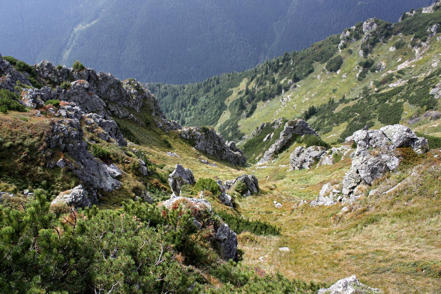 Otrhance - Jakubina, Vyšná Magura, Ostredok, Nižná Magura, Ostredok (Západné Tatry)