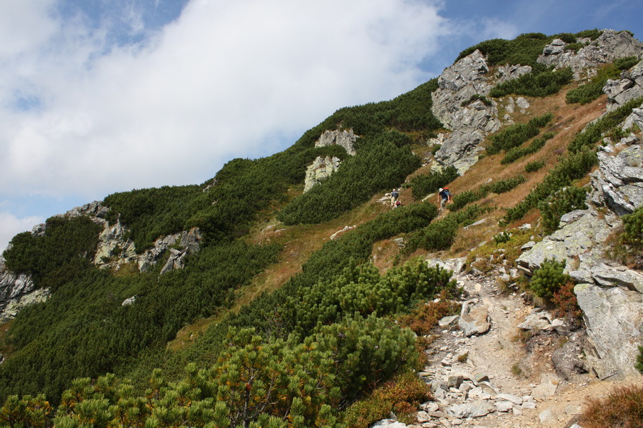 Otrhance - Jakubina, Vyšná Magura, Ostredok, Nižná Magura, Ostredok (Západné Tatry)