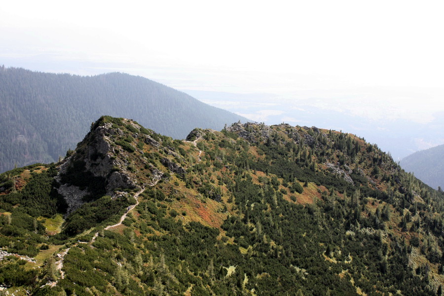 Otrhance - Jakubina, Vyšná Magura, Ostredok, Nižná Magura, Ostredok (Západné Tatry)