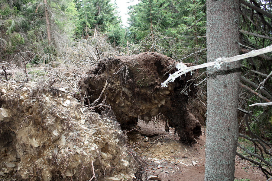 Otrhance - Jakubina, Vyšná Magura, Ostredok, Nižná Magura, Ostredok (Západné Tatry)