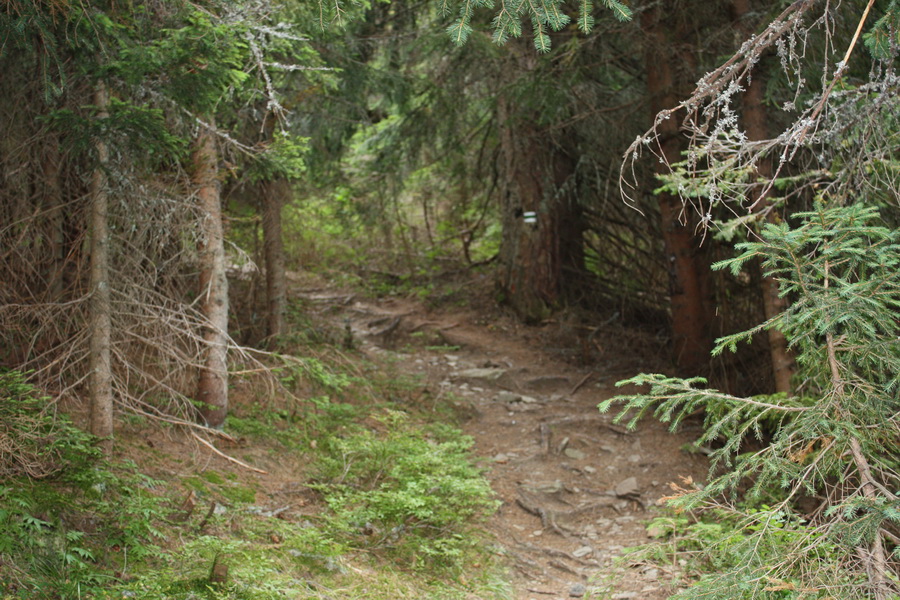 Otrhance - Jakubina, Vyšná Magura, Ostredok, Nižná Magura, Ostredok (Západné Tatry)