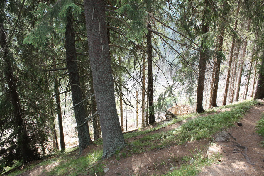 Otrhance - Jakubina, Vyšná Magura, Ostredok, Nižná Magura, Ostredok (Západné Tatry)