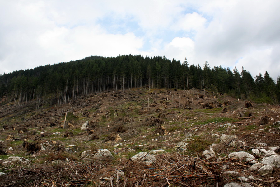 Otrhance - Jakubina, Vyšná Magura, Ostredok, Nižná Magura, Ostredok (Západné Tatry)