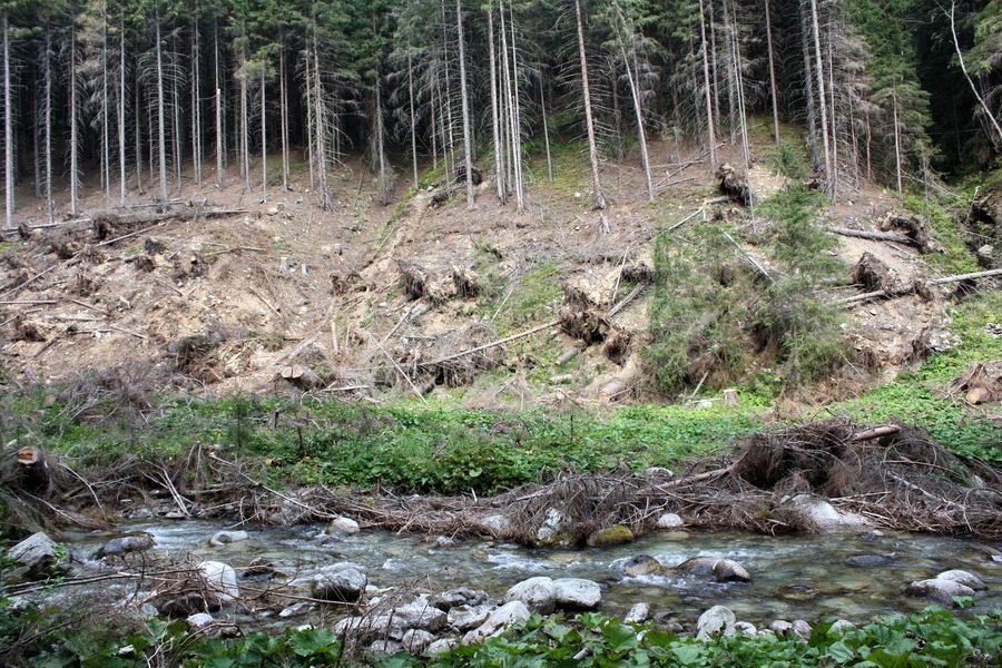 Otrhance - Jakubina, Vyšná Magura, Ostredok, Nižná Magura, Ostredok (Západné Tatry)