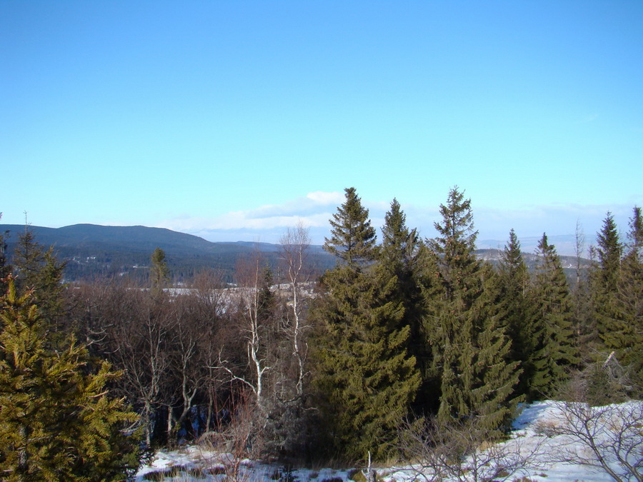 Pálenica (Volovské vrchy)