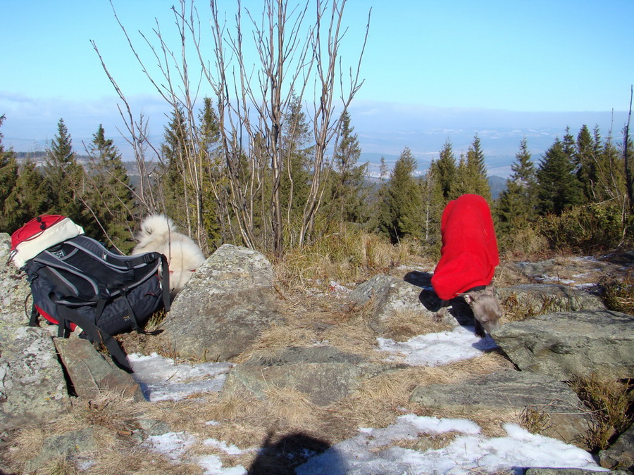 Pálenica (Volovské vrchy)