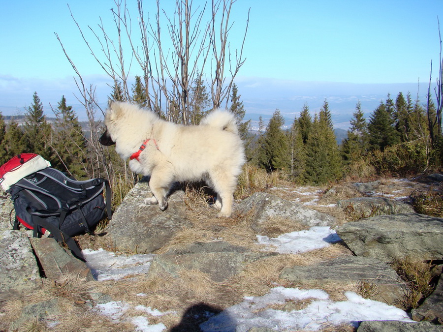 Pálenica (Volovské vrchy)