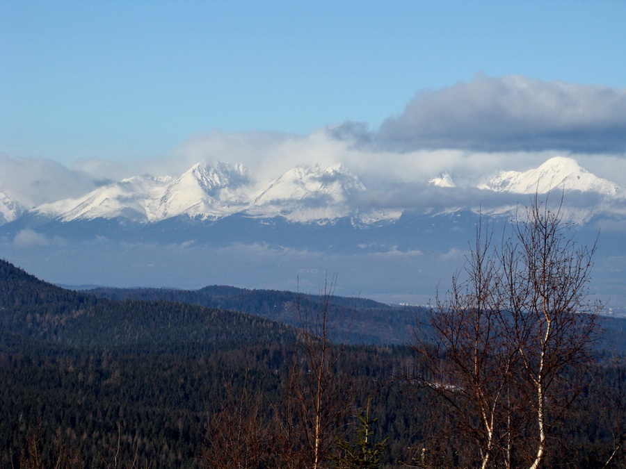 Pálenica (Volovské vrchy)