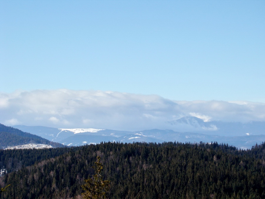 Pálenica (Volovské vrchy)