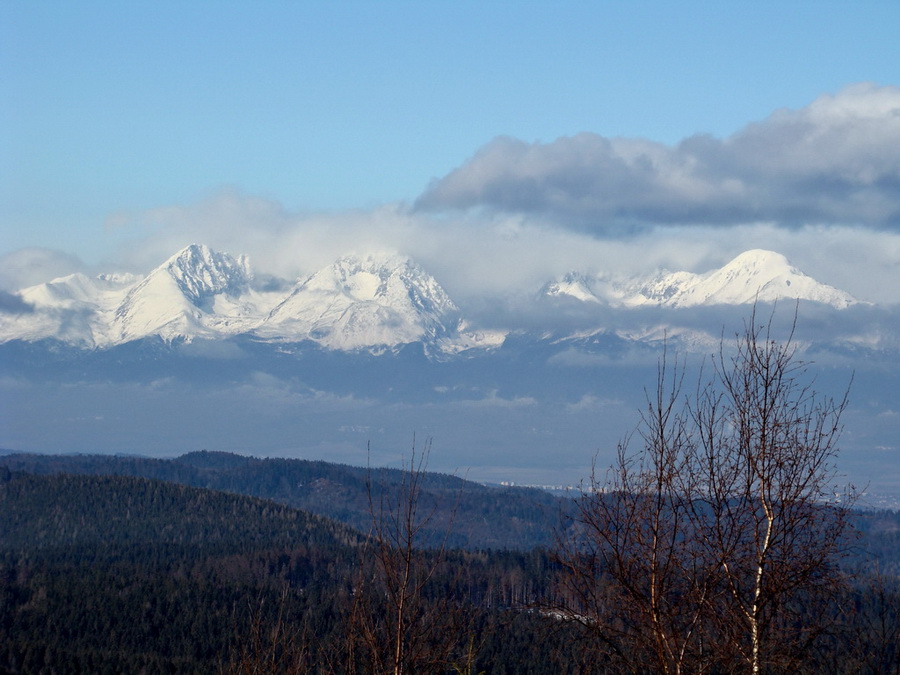 Pálenica (Volovské vrchy)