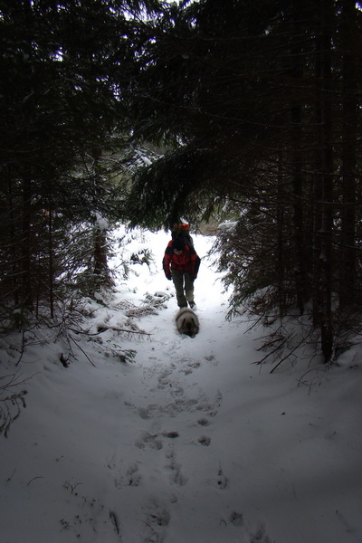 Pod prameňom Zubrovice (Nízke Tatry)