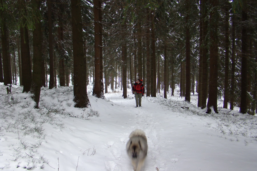 Pod prameňom Zubrovice (Nízke Tatry)