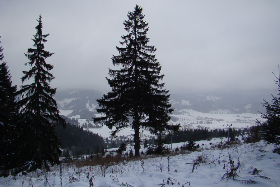 Pod prameňom Zubrovice (Nízke Tatry)