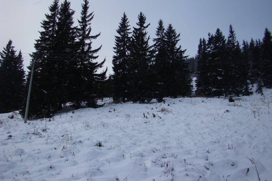 Pod prameňom Zubrovice (Nízke Tatry)