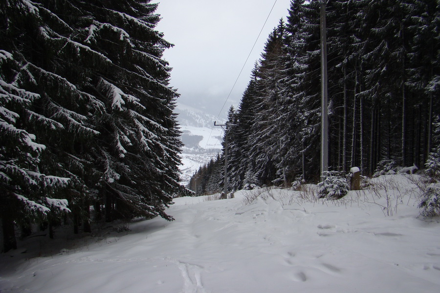 Pod prameňom Zubrovice (Nízke Tatry)