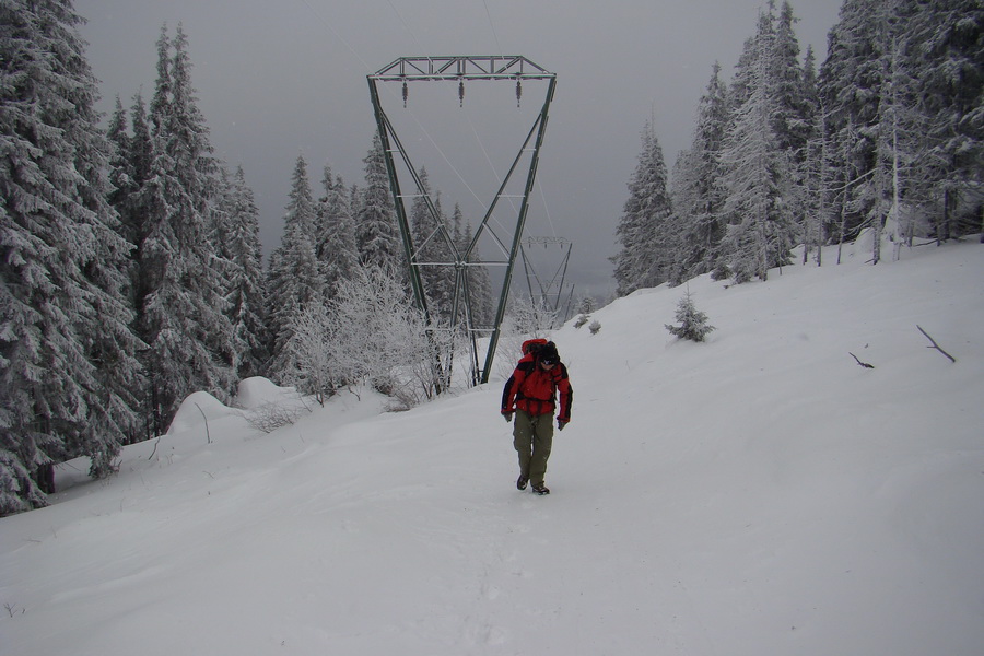 Pod prameňom Zubrovice (Nízke Tatry)