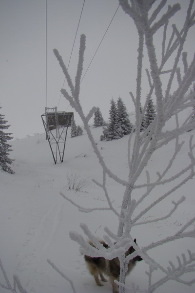 Pod prameňom Zubrovice (Nízke Tatry)