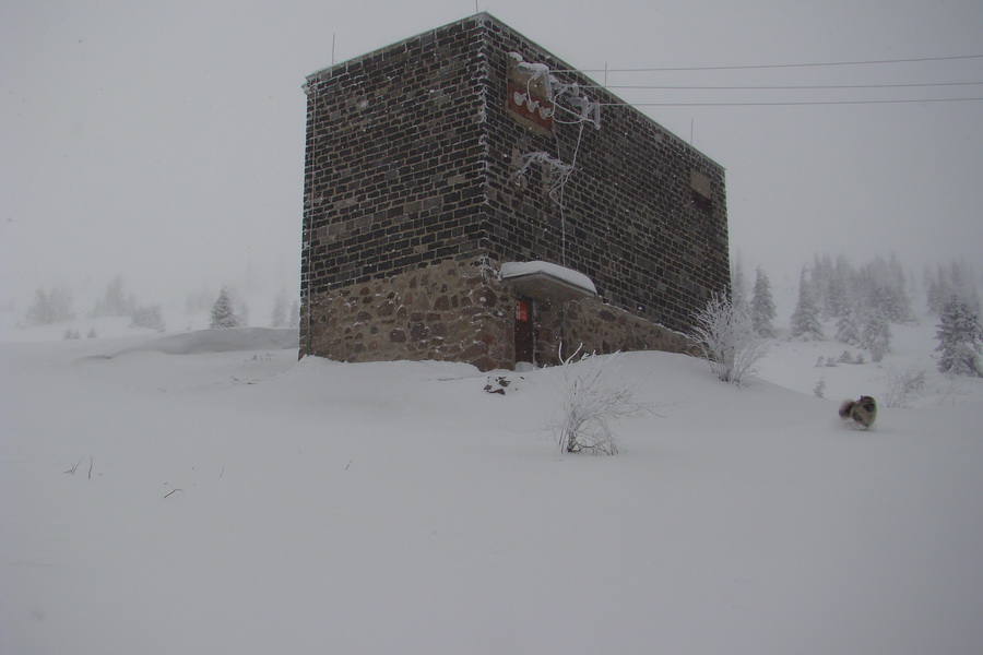 Pod prameňom Zubrovice (Nízke Tatry)