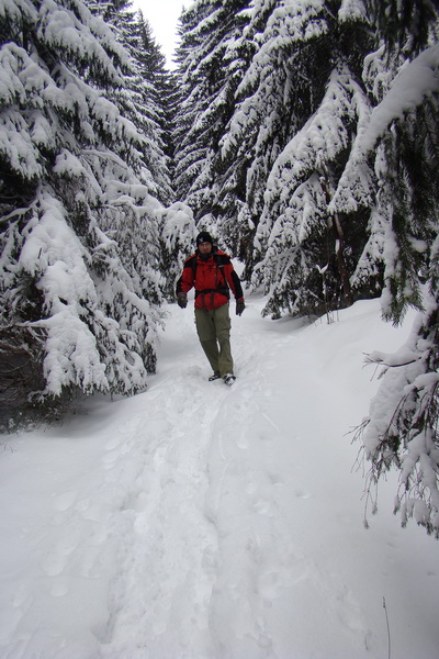 Pod prameňom Zubrovice (Nízke Tatry)