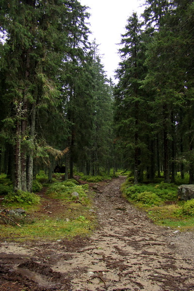 Poľana z Jasnej pod Chopkom (Nízke Tatry)