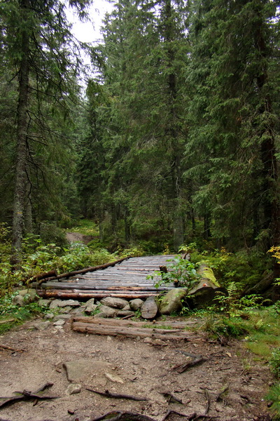 Poľana z Jasnej pod Chopkom (Nízke Tatry)