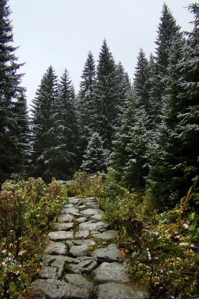 Poľana z Jasnej pod Chopkom (Nízke Tatry)