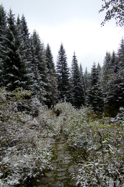 Poľana z Jasnej pod Chopkom (Nízke Tatry)