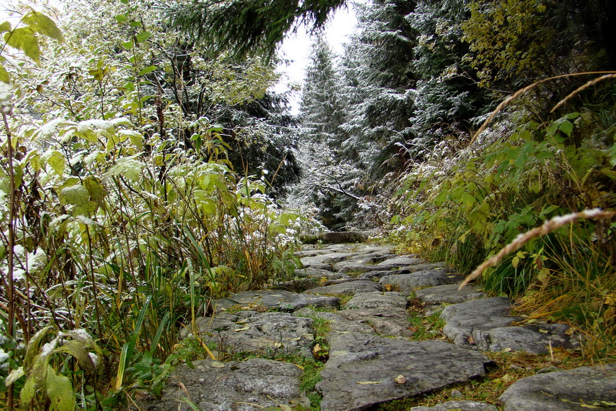 Poľana z Jasnej pod Chopkom (Nízke Tatry)