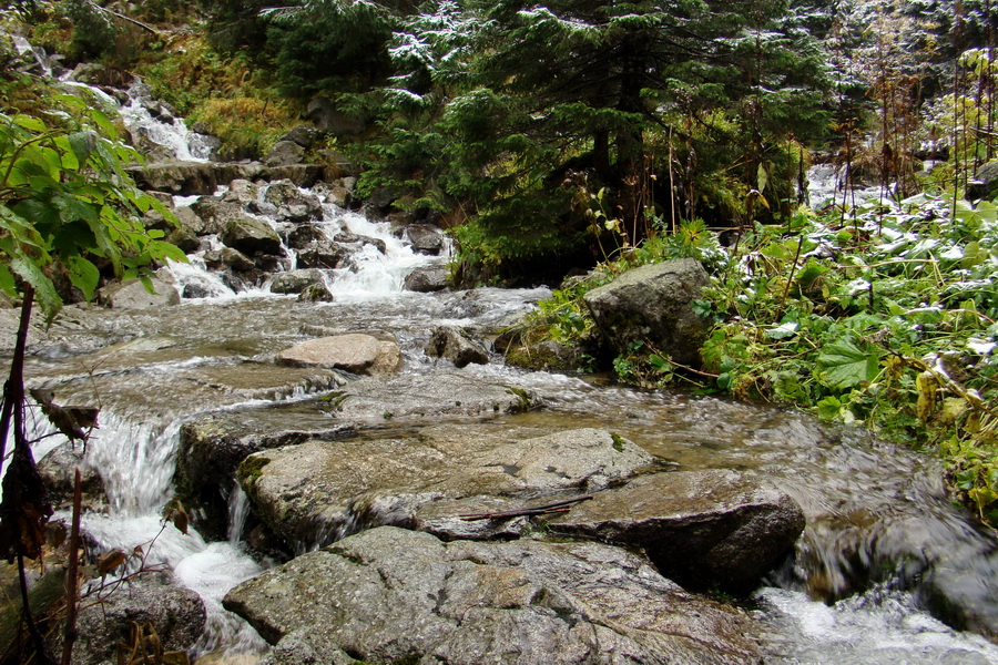 Poľana z Jasnej pod Chopkom (Nízke Tatry)