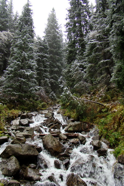 Poľana z Jasnej pod Chopkom (Nízke Tatry)