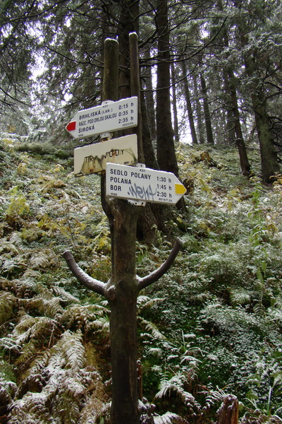 Poľana z Jasnej pod Chopkom (Nízke Tatry)