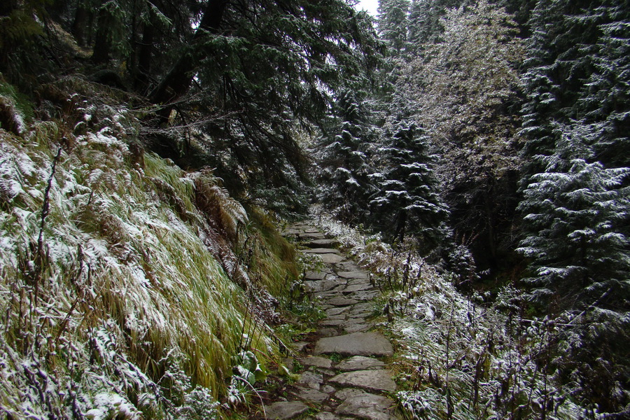 Poľana z Jasnej pod Chopkom (Nízke Tatry)