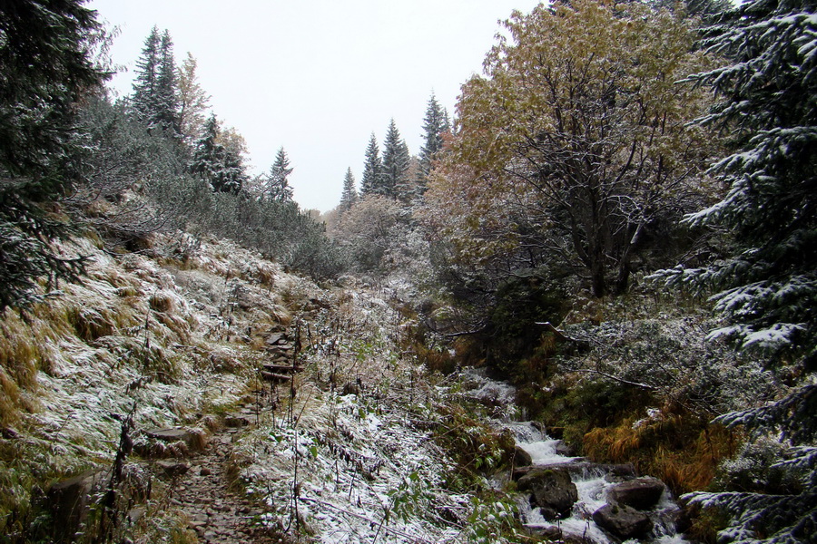 Poľana z Jasnej pod Chopkom (Nízke Tatry)