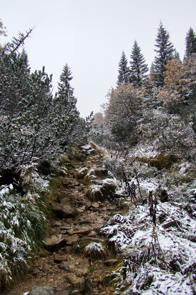 Poľana z Jasnej pod Chopkom (Nízke Tatry)