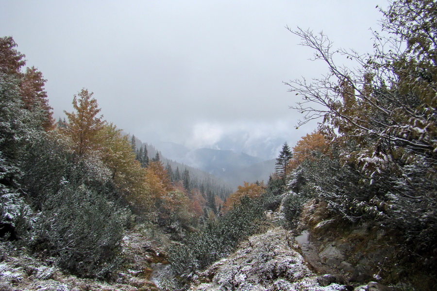 Poľana z Jasnej pod Chopkom (Nízke Tatry)